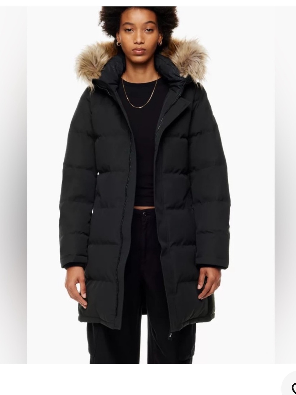 Tna Aritzia the powder parka